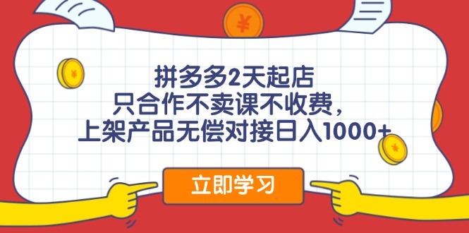 （12356期）拼多多0成本开店，只合作不卖课不收费，0成本尝试，日赚千元+-副业库