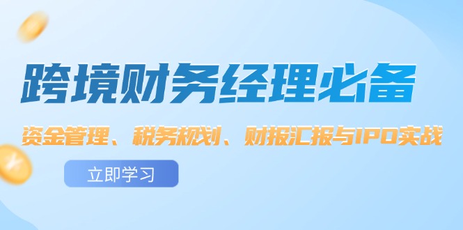 （12323期）跨境 财务经理必备：资金管理、税务规划、财报汇报与IPO实战-副业库