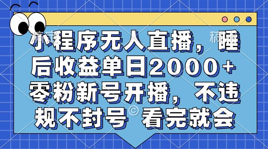 （13251期）小程序无人直播，睡后收益单日2000+ 零粉新号开播，不违规不封号 看完就会-副业库
