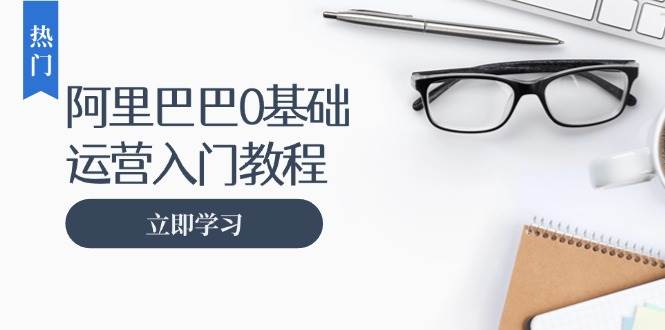 （13291期）阿里巴巴运营零基础入门教程：涵盖开店、运营、推广，快速成为电商高手-副业库