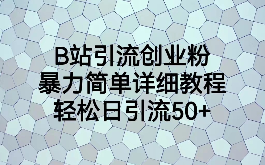 B站引流创业粉，暴力简单详细教程，轻松日引流50+-副业库