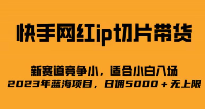 快手网红ip切片新赛道，竞争小，适合小白  2023蓝海项目-副业库