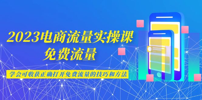 2023电商流量实操课-免费流量，学会可收获正确打开免费流量的技巧和方法-副业库