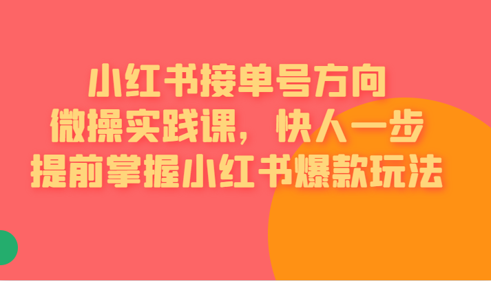 小红书接单号方向微操实践课，快人一步提前掌握小红书爆款玩法-副业库