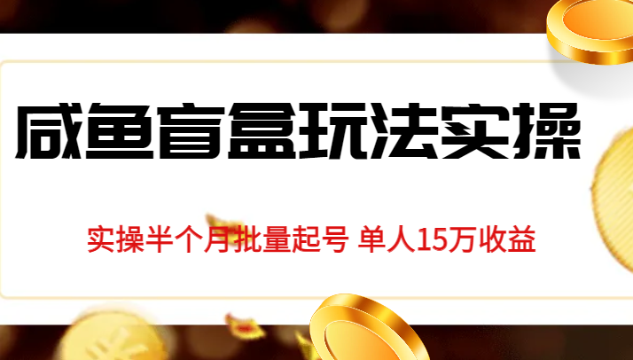 独家首发咸鱼盲盒玩法实操，半个月批量起号单人15万收益揭秘-副业库