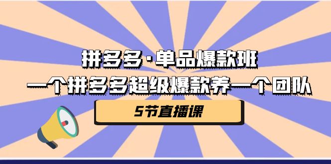 拼多多·单品爆款班，一个拼多多超级爆款养一个团队（5节直播课）-副业库
