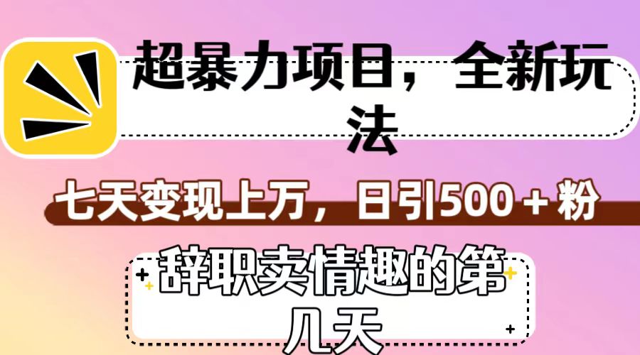 超暴利项目，全新玩法（辞职卖情趣的第几天），七天变现上万，日引500+粉-副业库