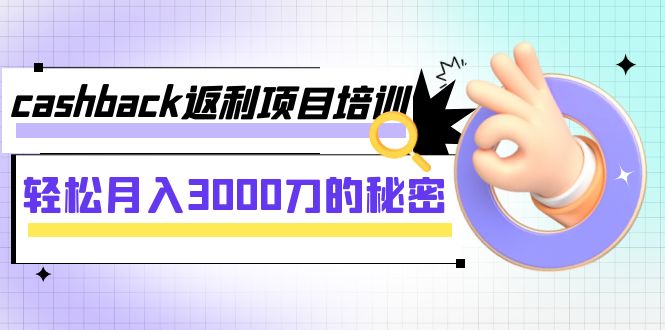 cashback返利项目培训：轻松月入3000刀的秘密（8节课）-副业库