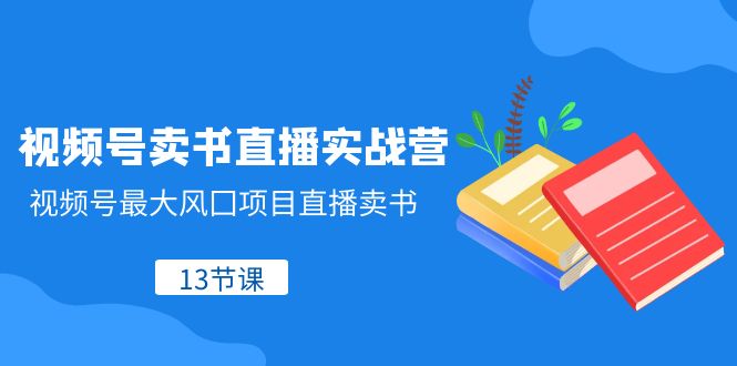 视频号卖书直播实战营，视频号最大风囗项目直播卖书（13节课）-副业库
