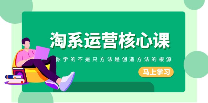 淘系运营核心课，你学的不只是方法而是创造方法的根源（190节课）-副业库