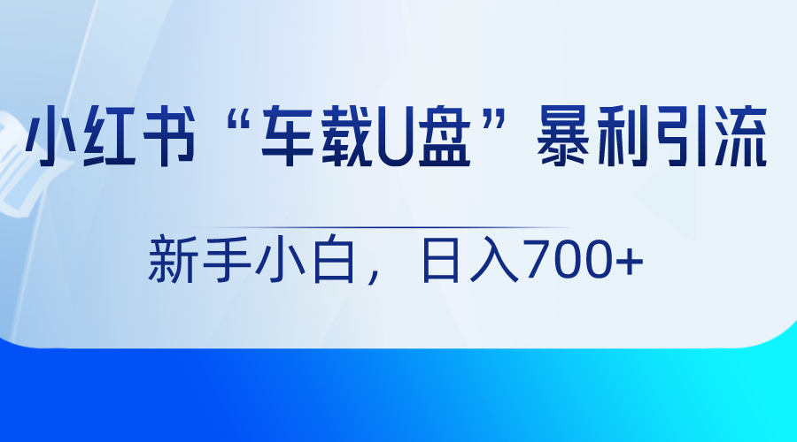小红书“车载U盘”项目，暴利引流，新手小白轻松日入700+-副业库