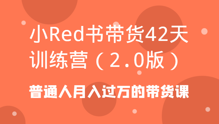 小Red书带货42天训练营（2.0版）普通人月入过万的带货课-副业库