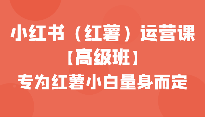 小红书（红薯）运营课【高级班】，专为红薯小白量身而定（42节课）-副业库