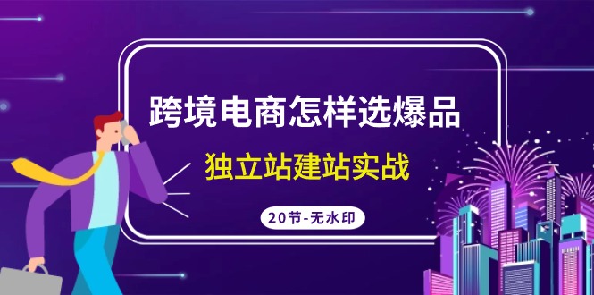 跨境电商怎样选爆品，独立站建站实战（20节高清课）-副业库