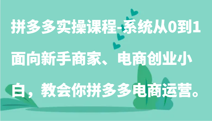 拼多多实操课程-系统从0到1，面向新手商家、电商创业小白，教会你拼多多电商运营。-副业库