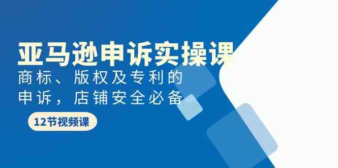 亚马逊申诉实战课，商标、版权及专利的申诉，店铺安全必备-副业库