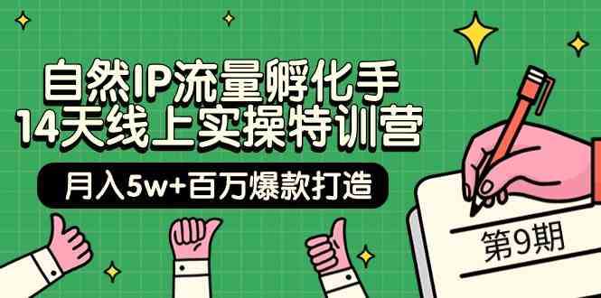 自然IP流量孵化手14天线上实操特训营【第9期】月入5w+百万爆款打造 (74节)-副业库