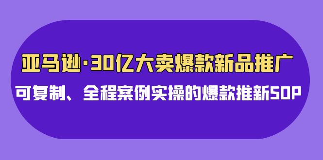 亚马逊30亿大卖爆款新品推广，可复制、全程案例实操的爆款推新SOP-副业库