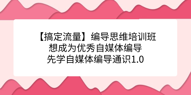 【搞定流量】编导思维培训班，想成为优秀自媒体编导先学自媒体编导通识1.0-副业库