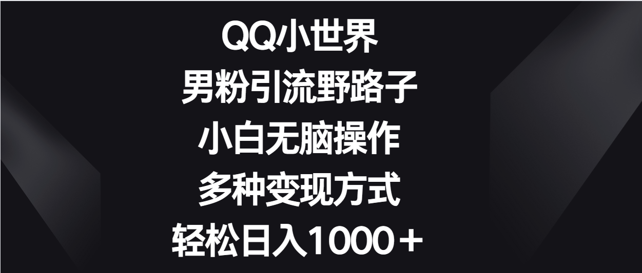 QQ小世界男粉引流野路子，小白无脑操作，多种变现方式轻松日入1000＋-副业库