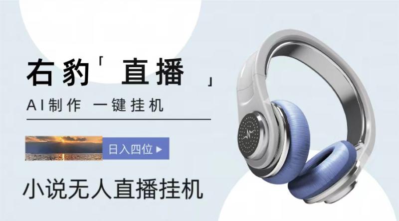 右豹小说无人直播挂机吸金项目，简单易行收益稳定， 月入1000+-副业库