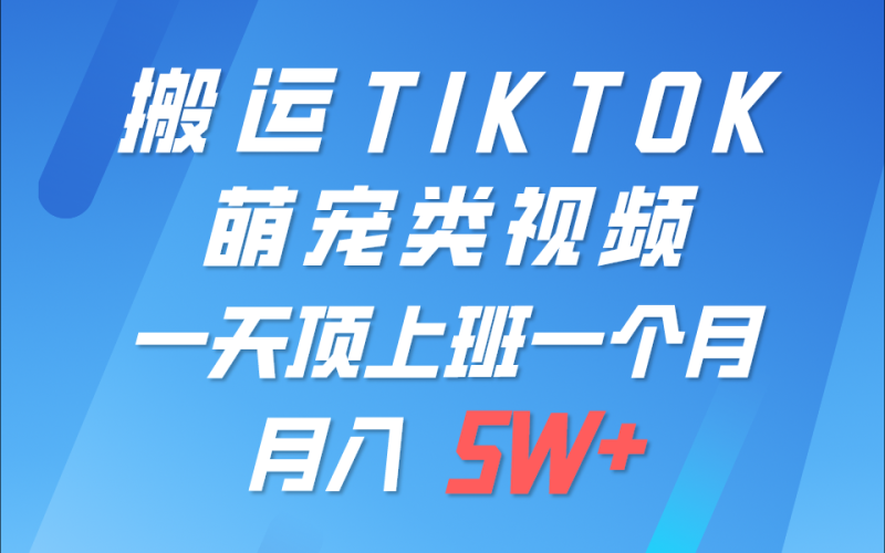 一键搬运TIKTOK萌宠类视频，一部手机即可操作，所有平台均可发布 轻松月入5W+-副业库