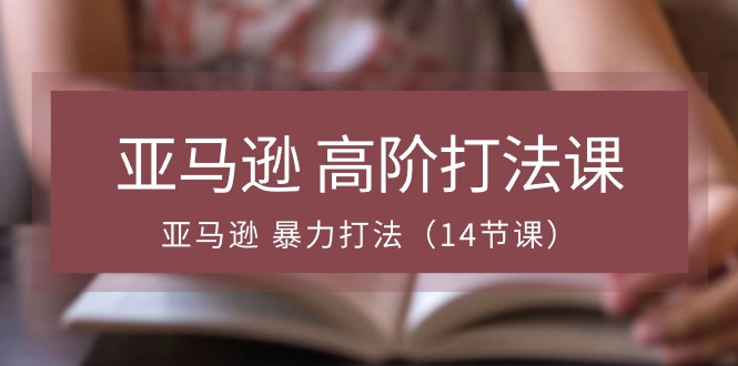 亚马逊高阶打法课，亚马逊暴力打法（14节视频课）-副业库