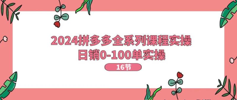 2024拼多多全系列课程实操，日销0-100单实操【16节课】-副业库
