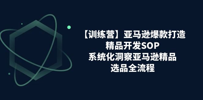 亚马逊爆款打造之精品开发SOP【训练营】，系统化洞察亚马逊精品选品全流程-副业库