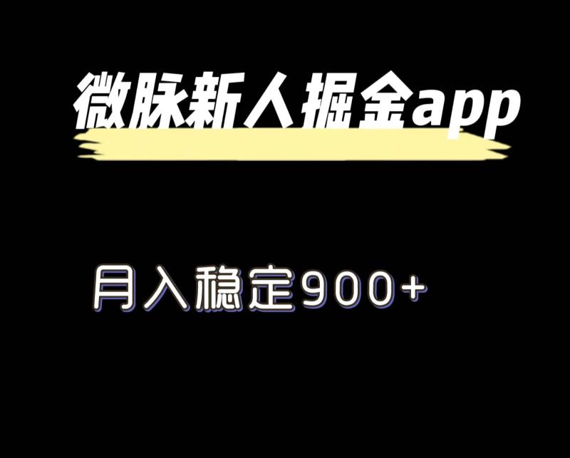 最新微脉长久项目，拉新掘金，月入稳定900+-副业库