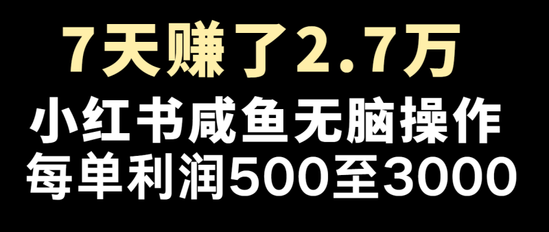 七天赚了2.7万！每单利润最少500+，轻松月入5万+小白有手就行-副业库