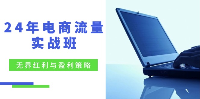 电商流量实战班：无界红利与盈利策略，终极提升/关键词优化/精准人群拓展/创新玩法-副业库