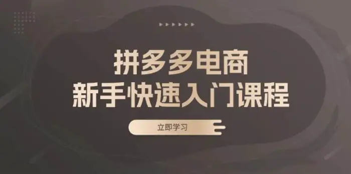 拼多多电商新手快速入门课程：涵盖基础、实战与选款，助力小白轻松上手-副业库