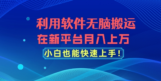利用软件无脑搬运，在新平台月入上万，小白也能快速上手-副业库