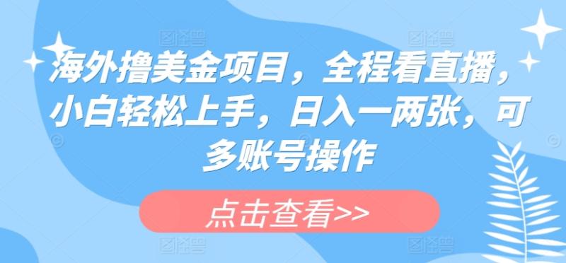 海外撸美金项目，全程看直播，小白轻松上手，日入一两张，可多账号操作【揭秘】-副业库