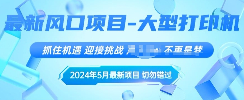 2024年5月最新风口项目，闲鱼卖大型打印机，无货源赚差价模式，小白也可以操作-副业库