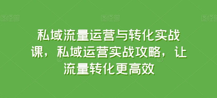 私域流量运营与转化实战课，私域运营实战攻略，让流量转化更高效-副业库