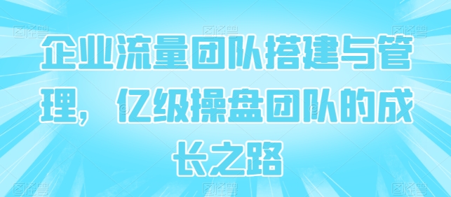 企业流量团队搭建与管理，亿级操盘团队的成长之路-副业库