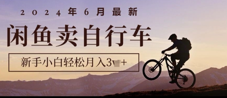 2024年6月最新闲鱼卖自行车，新手小白轻松月入1w+，无风险项目-副业库