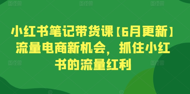 小红书笔记带货课【6月更新】流量电商新机会，抓住小红书的流量红利-副业库