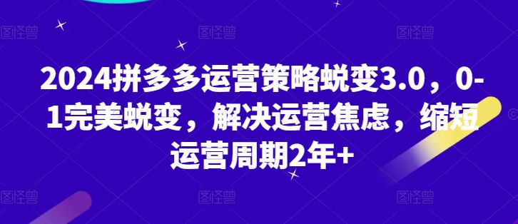 2024拼多多运营策略蜕变3.0，0-1完美蜕变，解决运营焦虑，缩短运营周期2年+-副业库