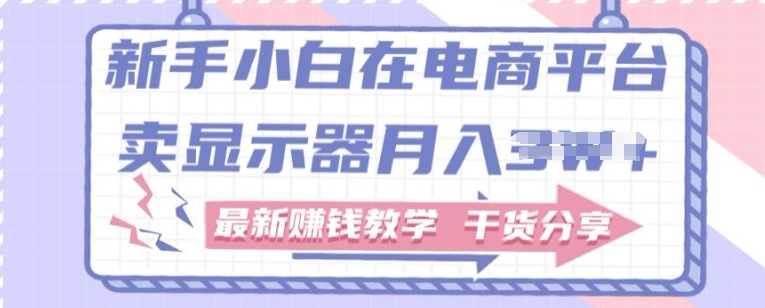 新手小白如何做到在电商平台卖显示器，最新赚钱教学干货分享-副业库