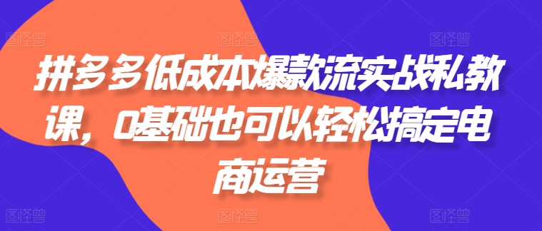 拼多多低成本爆款流实战私教课，0基础也可以轻松搞定电商运营-副业库