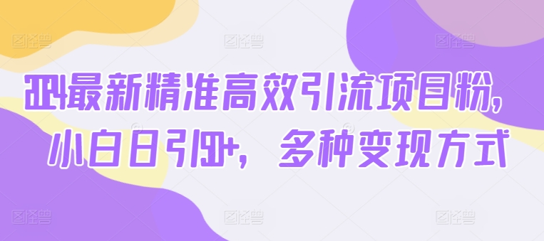2024最新精准高效引流项目粉，小白日引50+，多种变现方式-副业库