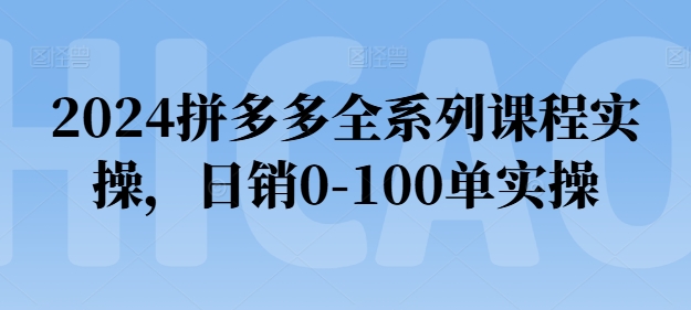 2024拼多多全系列课程实操，日销0-100单实操【必看】-副业库