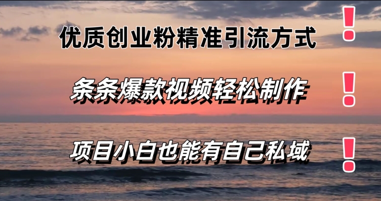 优质创业粉精准引流方式，条条视频爆款，小白也能轻松拥有自己的私域-副业库