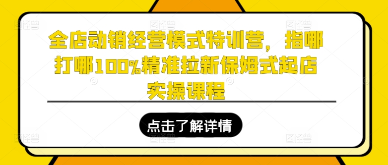 全店动销经营模式特训营，指哪打哪100%精准拉新保姆式起店实操课程-副业库