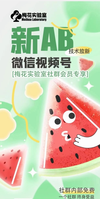 梅花实验室2024年AB技术视频号AB合成破解版-副业库