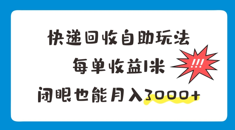 快递回收自助玩法，每单收益1米，闭眼也能月入3000+-副业库