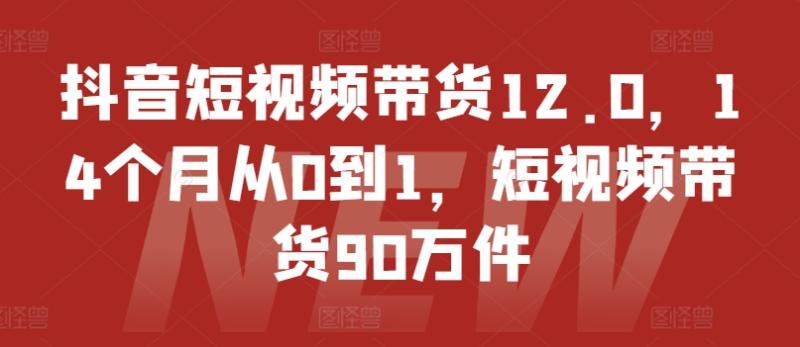 抖音短视频带货12.0，14个月从0到1，短视频带货90万件-副业库